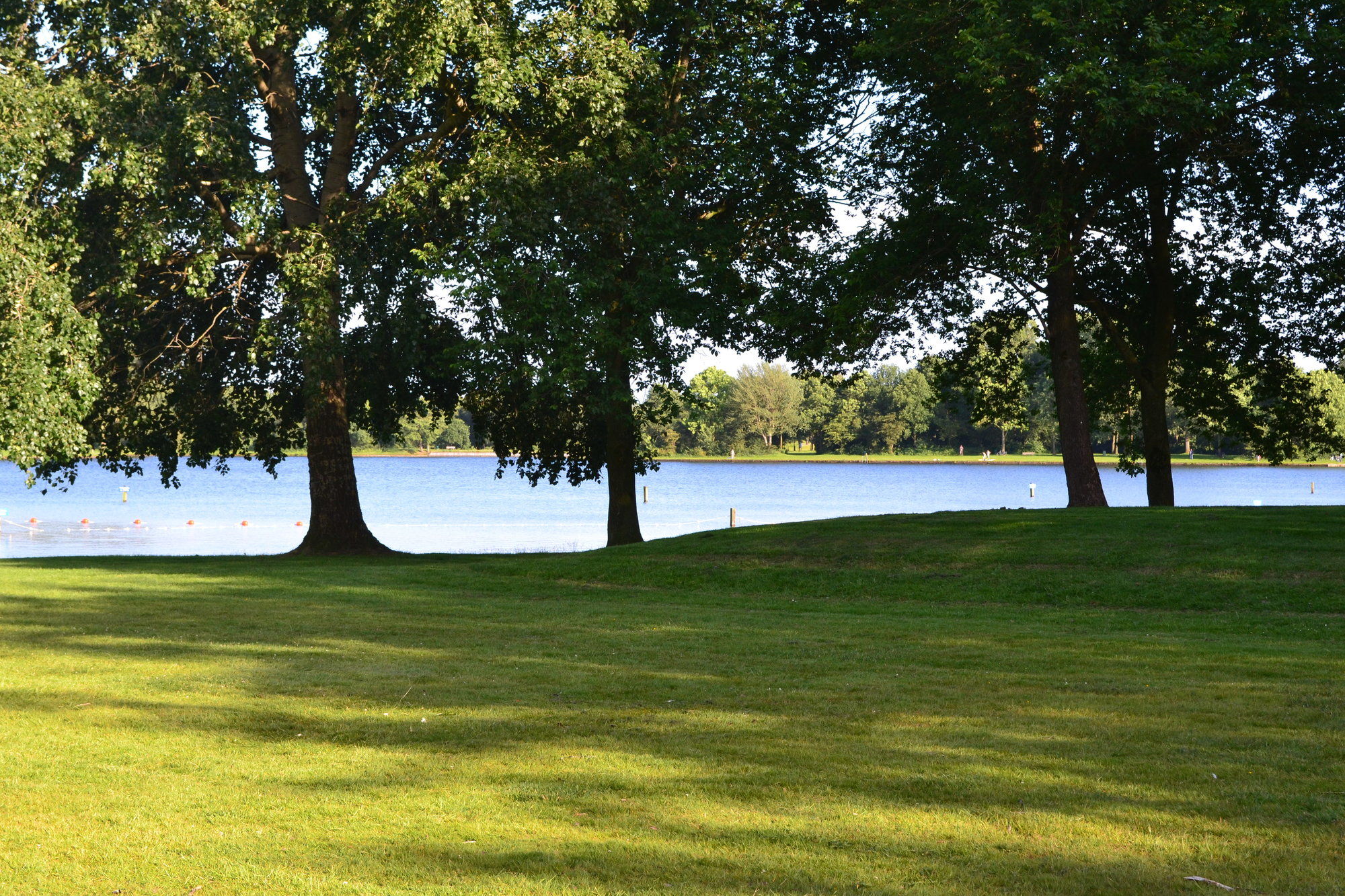 Фото Flonk Hotel Groningen Zuid, Bw Signature Collection