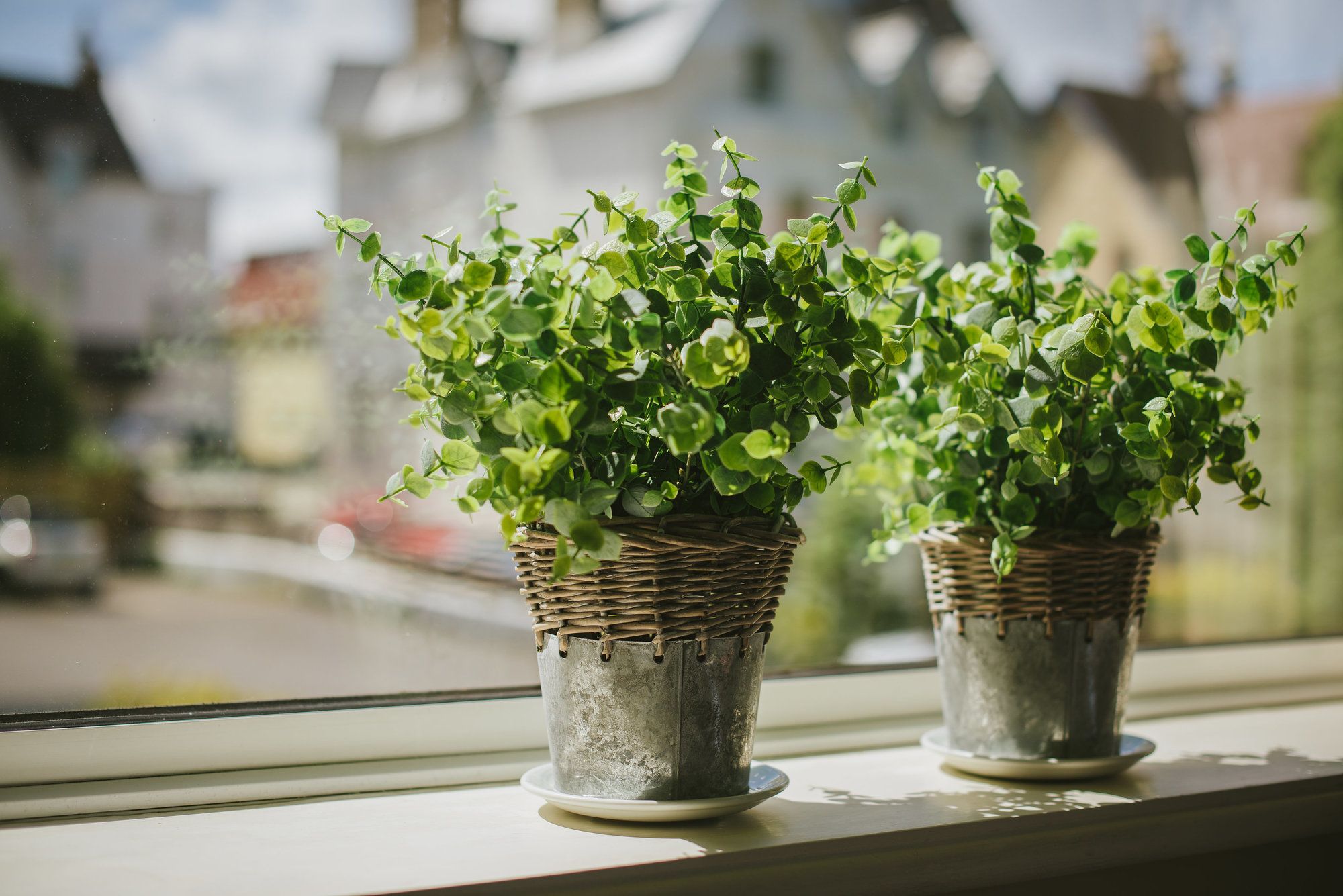 Фото Hotel Collingwood, Bw Signature Collection