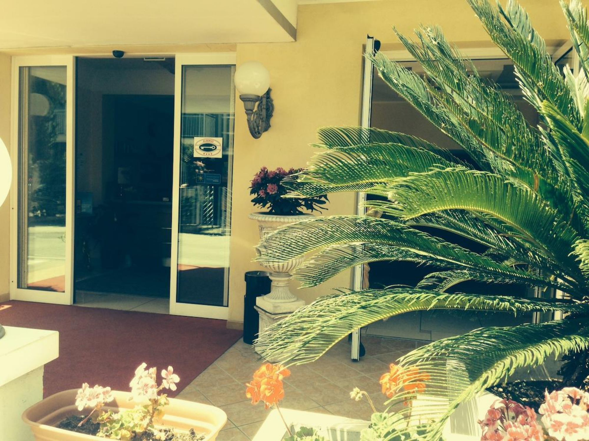 Фото Elisir Rimini