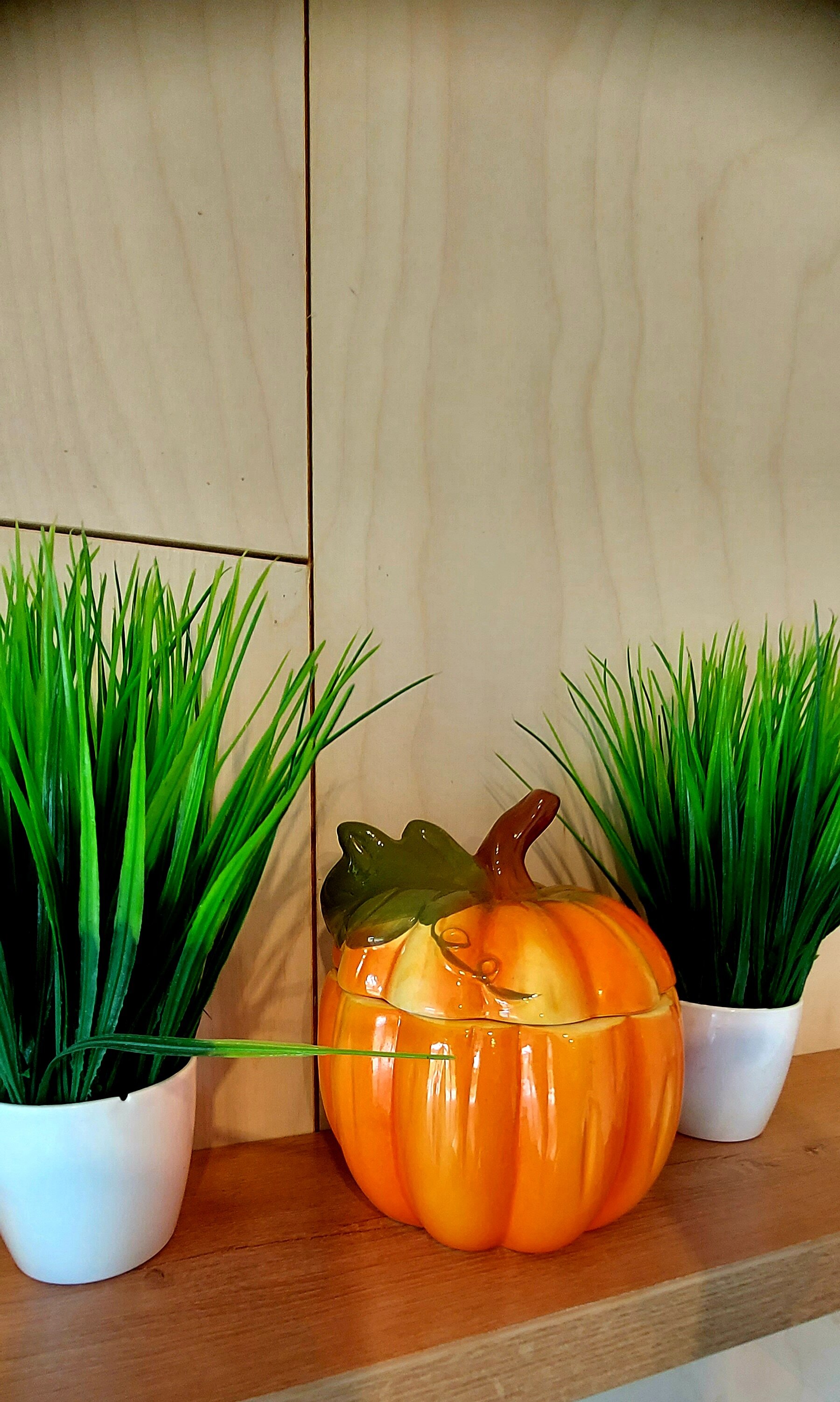 Фото Алтайдом Белогорье