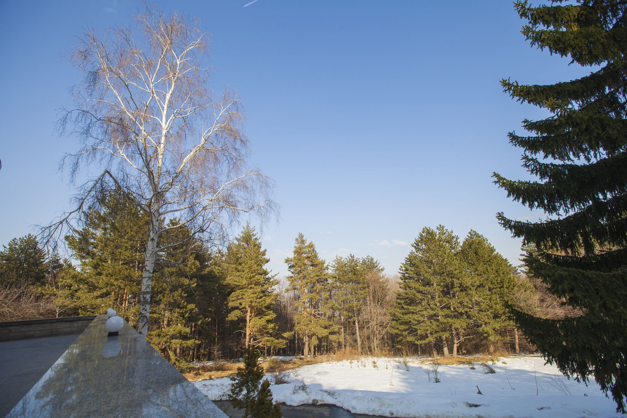 Фото Family Hotel Saint George