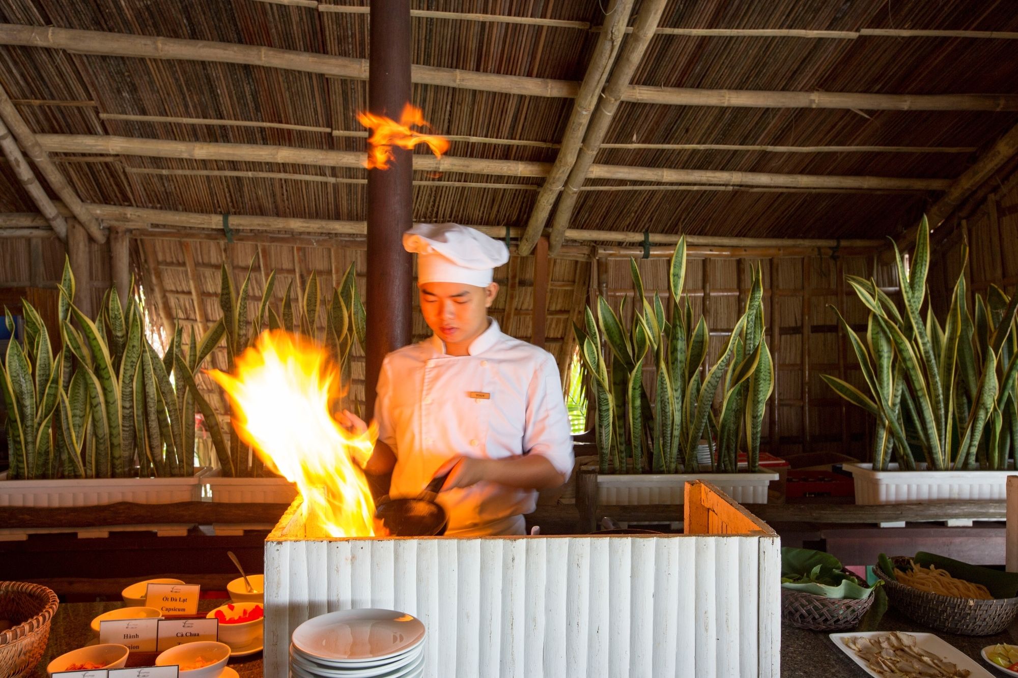 Фото Hoi An Coco River Resort & SPA