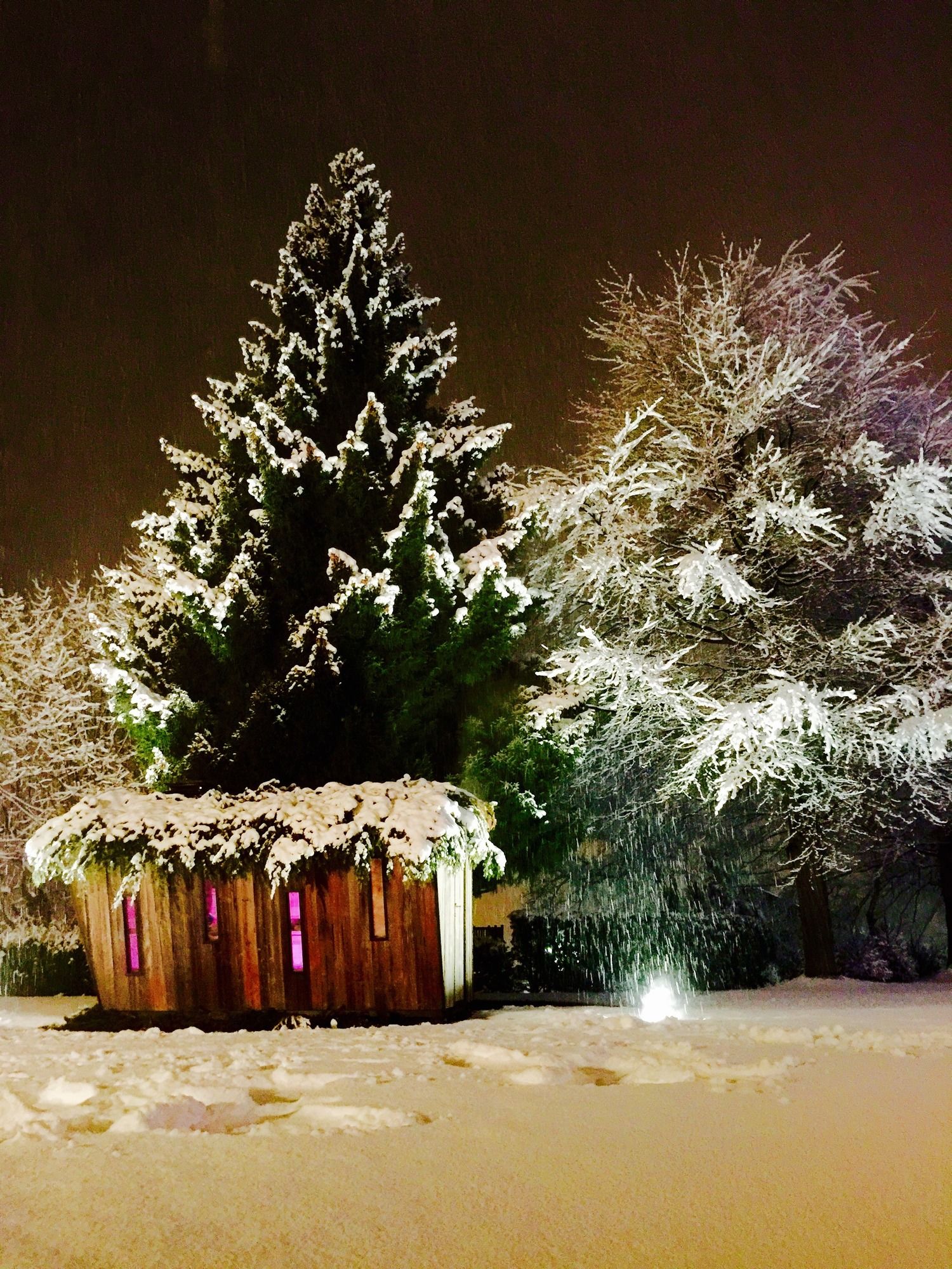 Фото Grand Hotel Royal e Golf