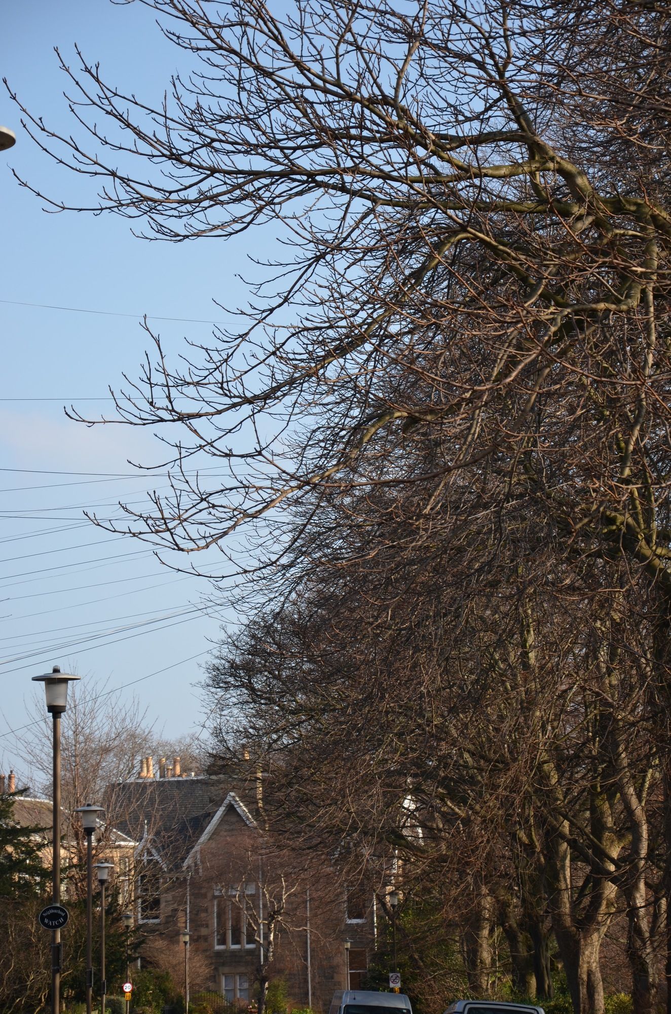 Фото Edinburgh 37