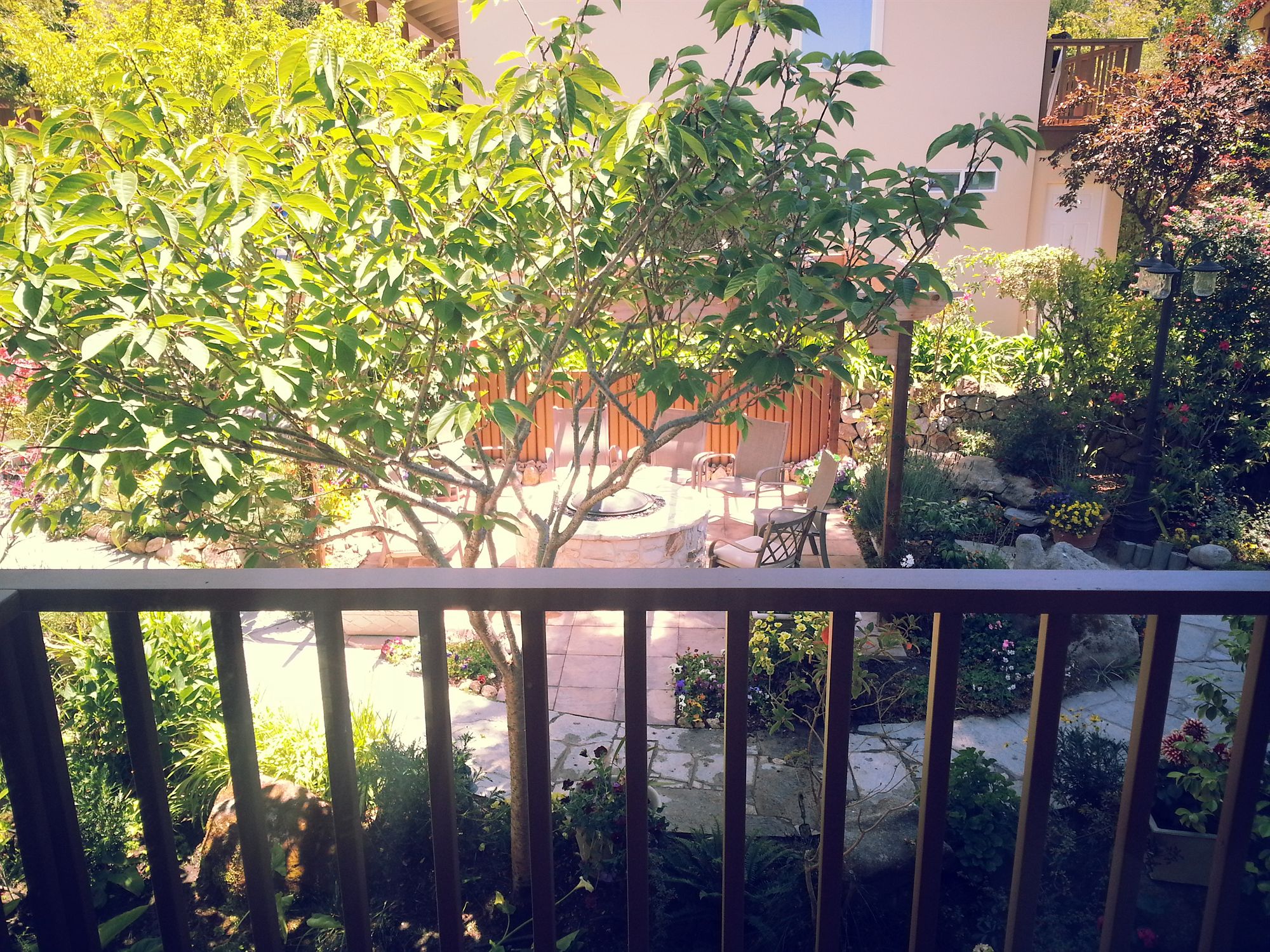 Фото Vendange Carmel Inn & Suites