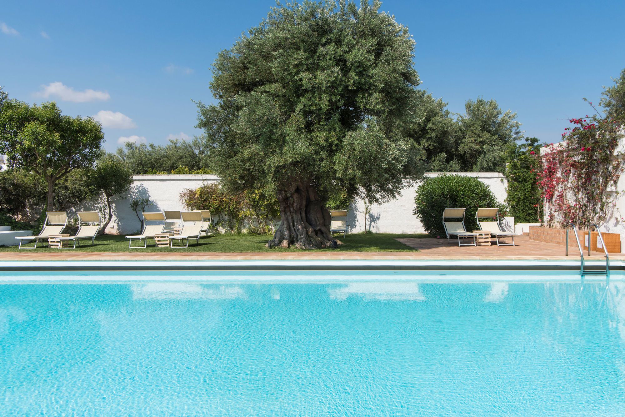 Фото Il Melograno