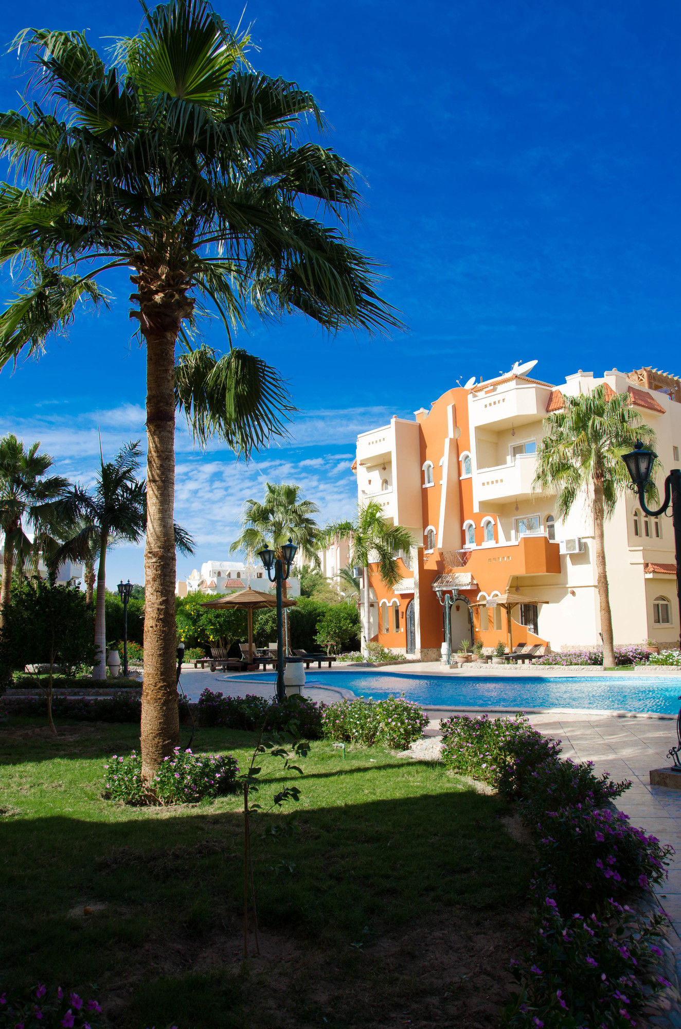 Фото Апартаменты Green Garden Resort