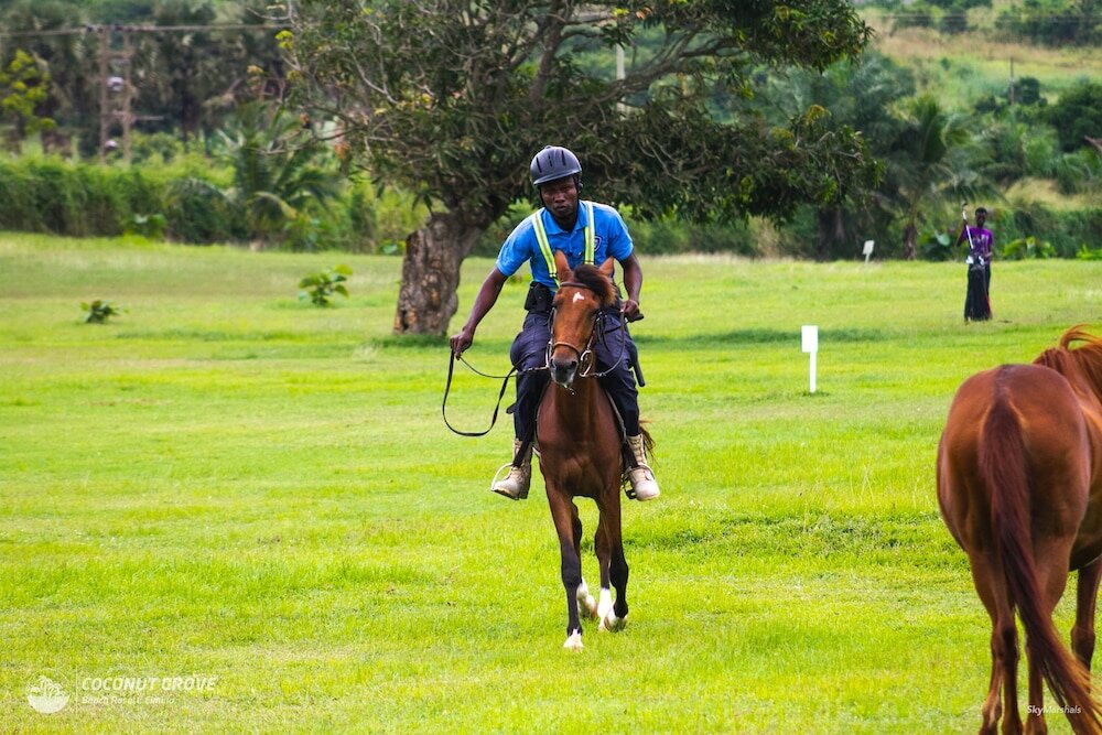 Фото Coconut Grove Beach Resort