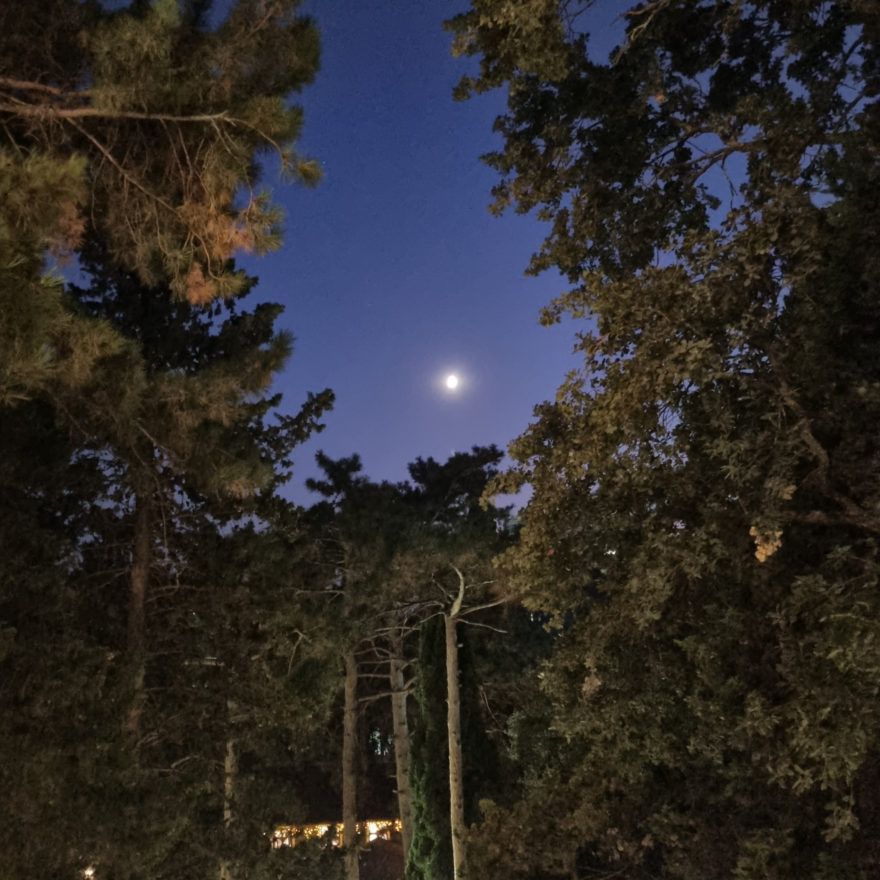 Фото Рубикон