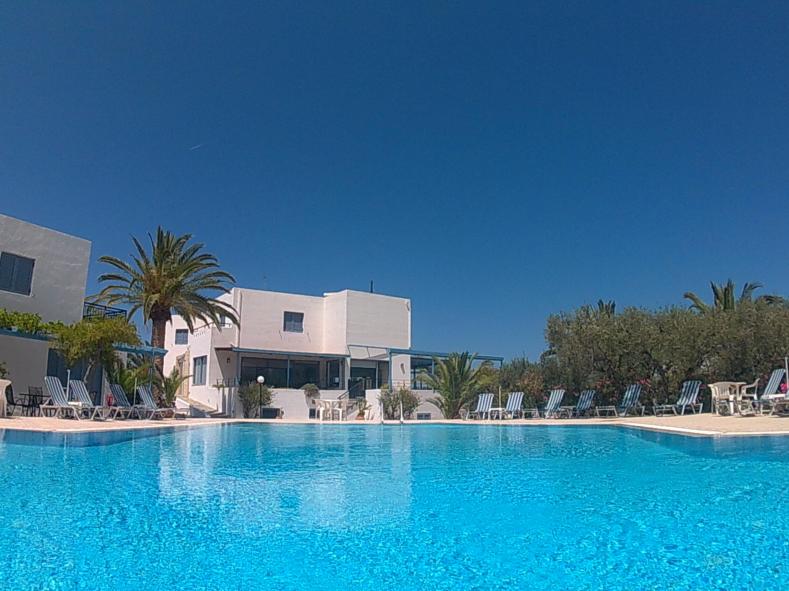 Фото Palatia Village