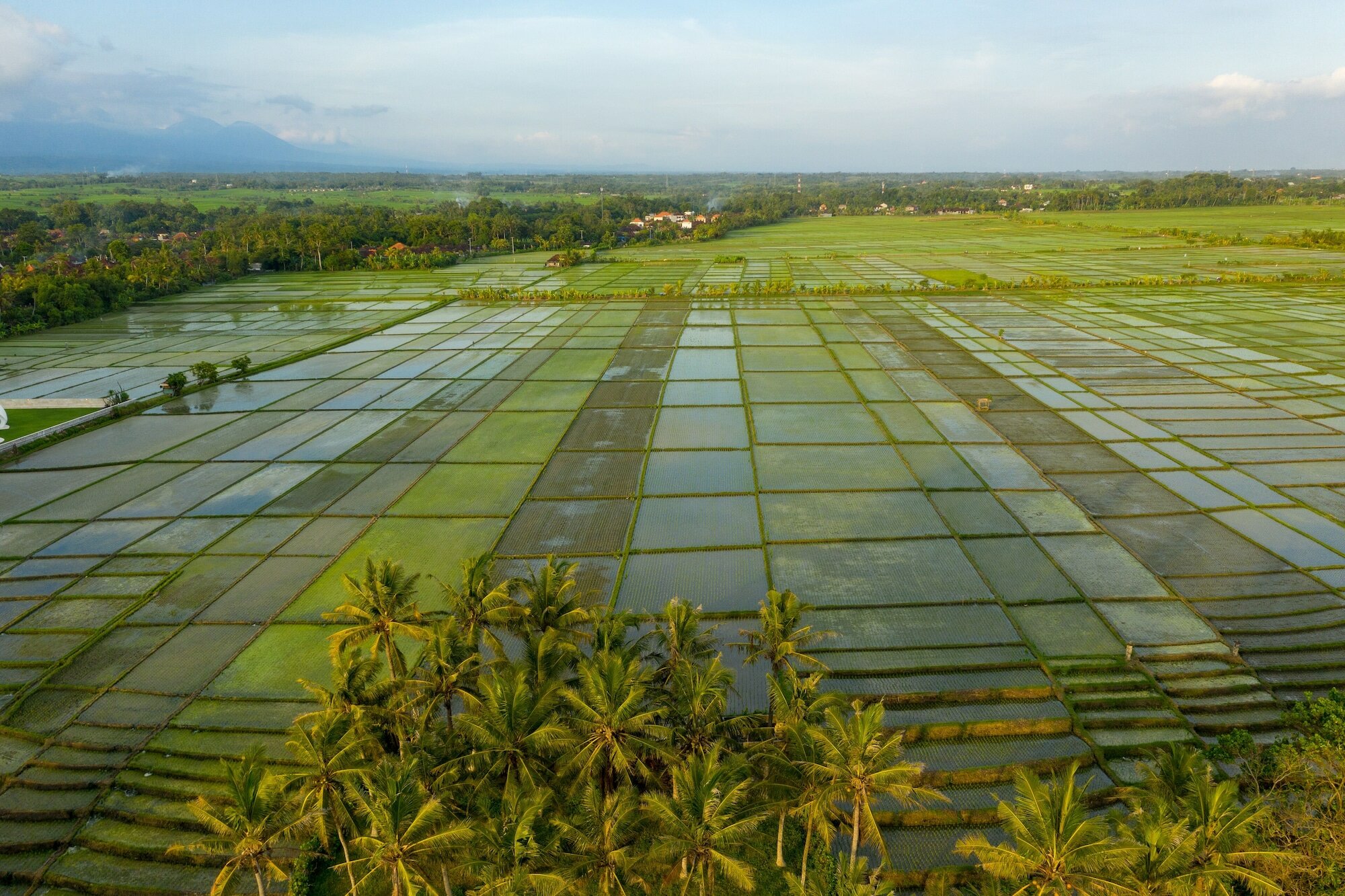 Фото Most Exotic Beachfront Villa Keong