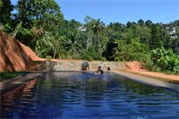 Фото Sweet Cinnamon Kandy