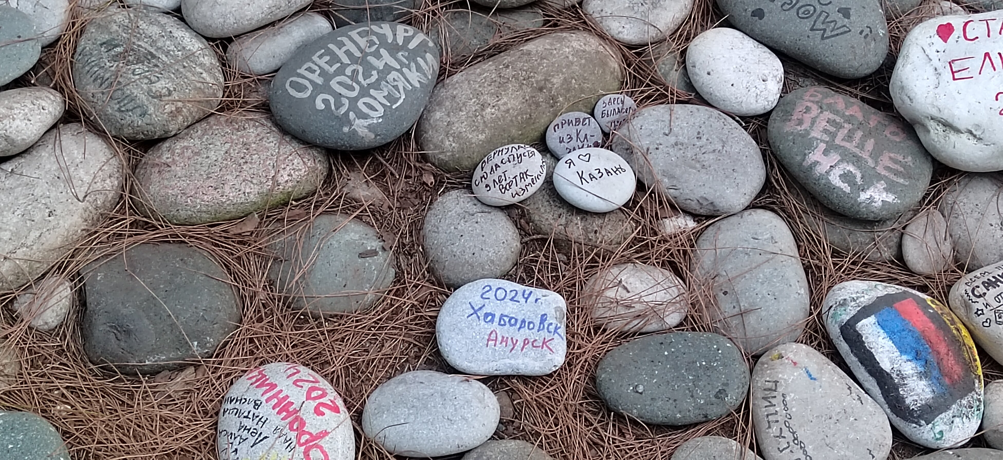 Фото Сосновый рай