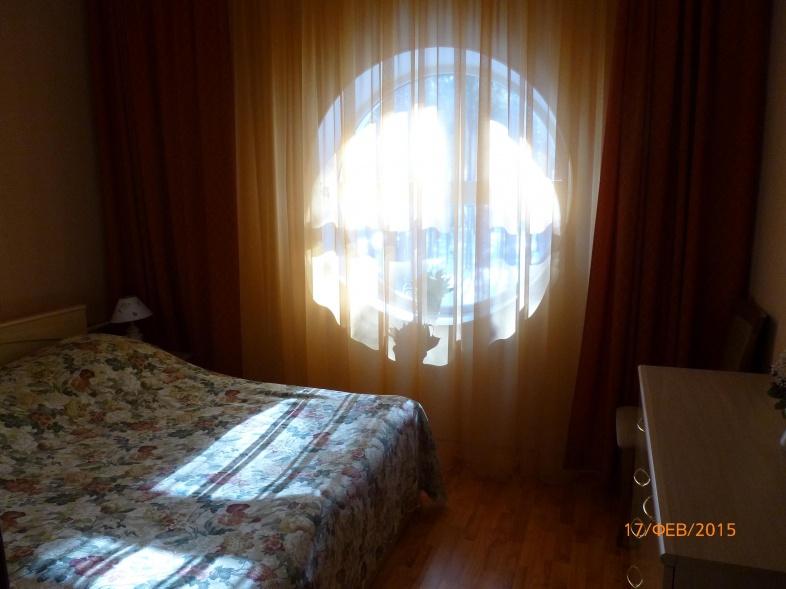 Фото Сосны плюс