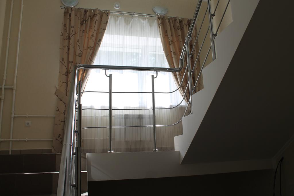 Фото Рыжий пёс