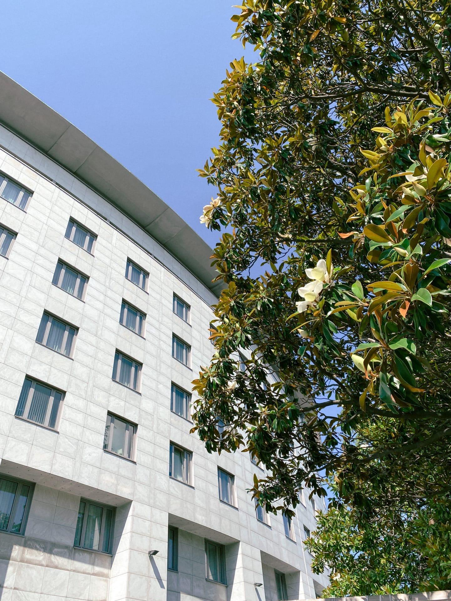 Фото Каравелла