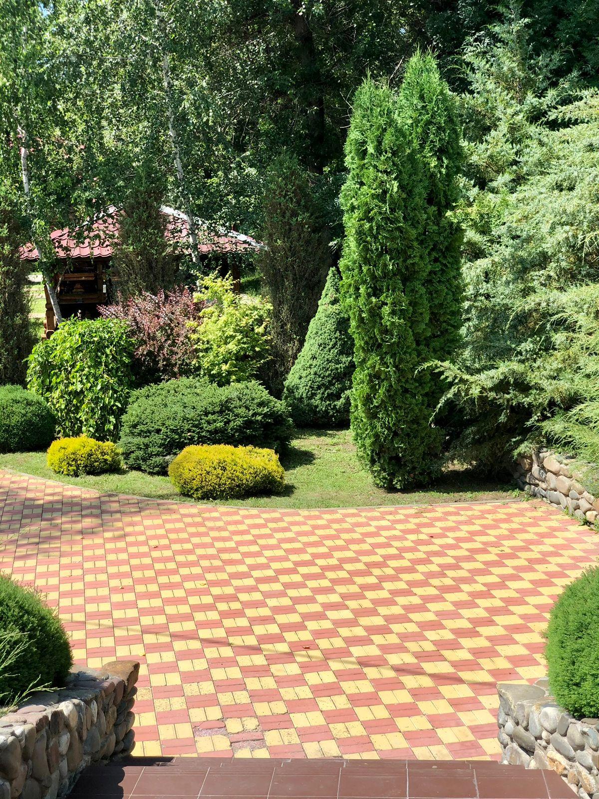 Фото Лукоморье