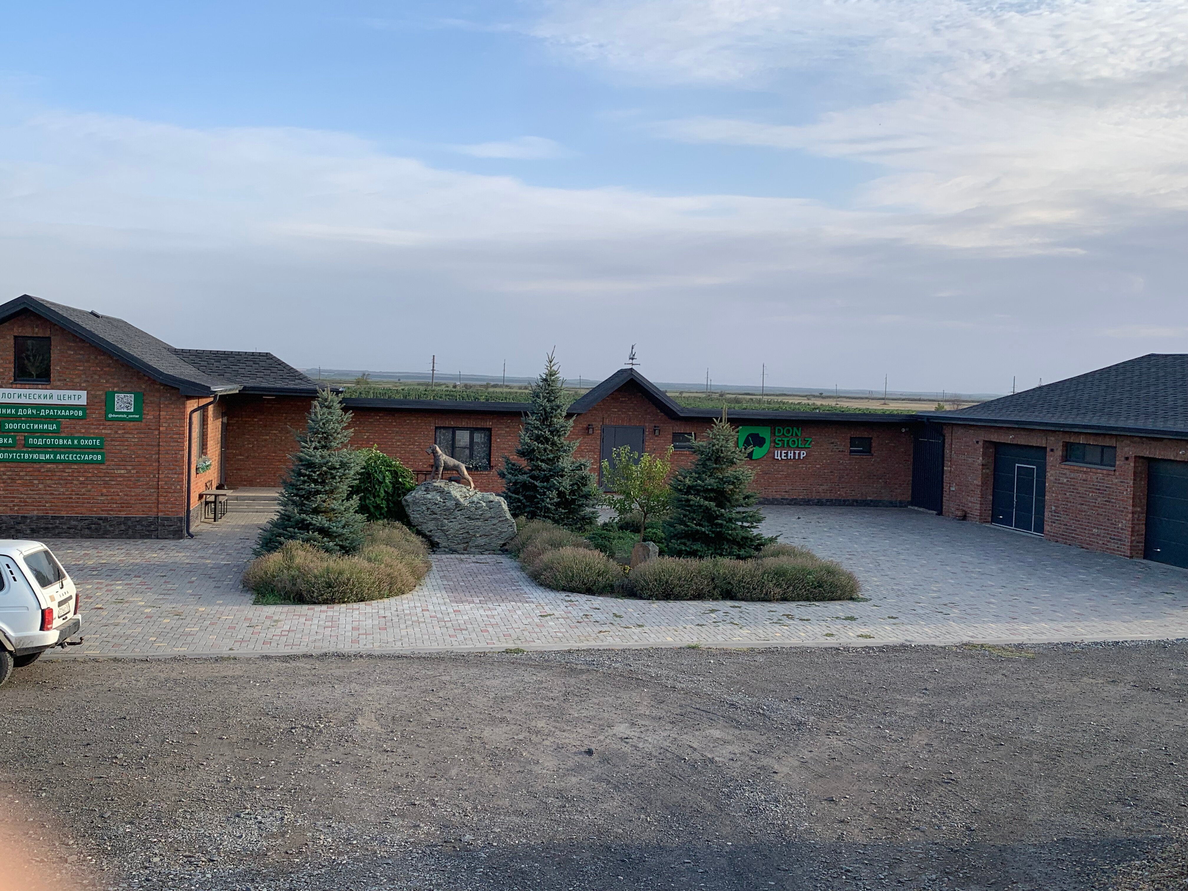 Фото Фазаново