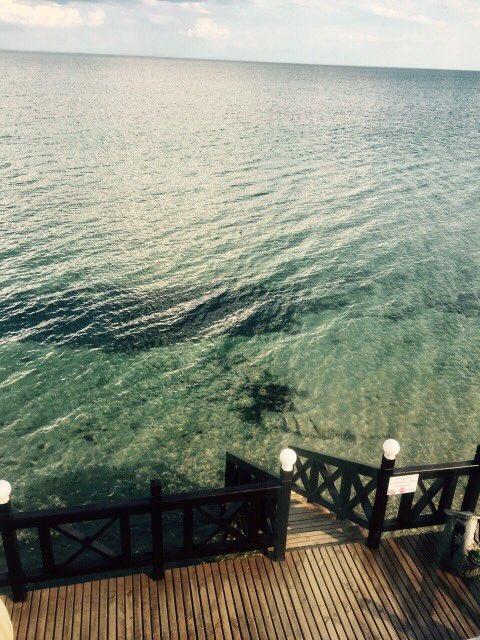 Фото Маринер