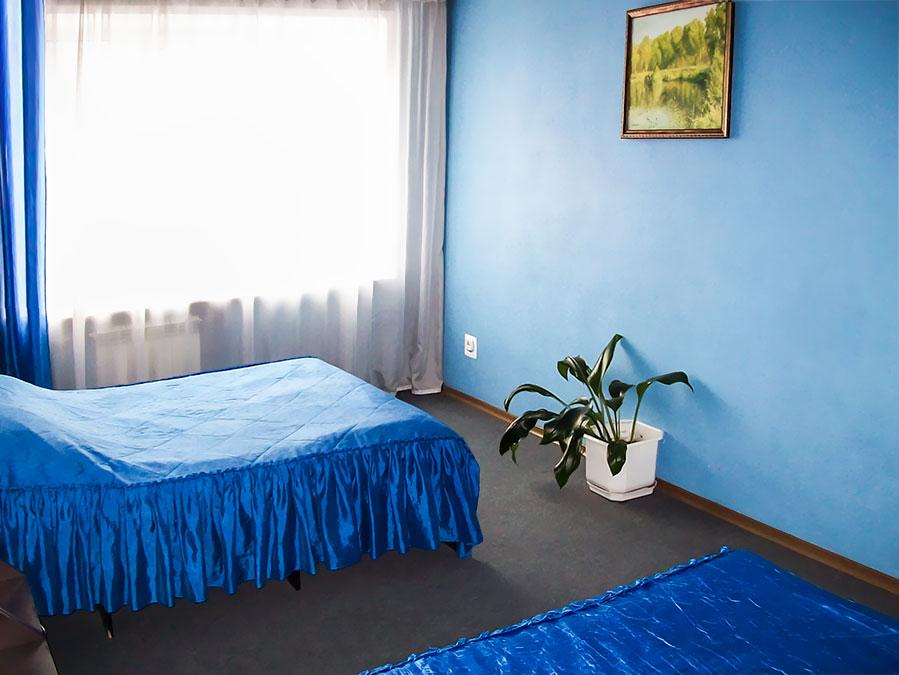 Фото Гвоздика