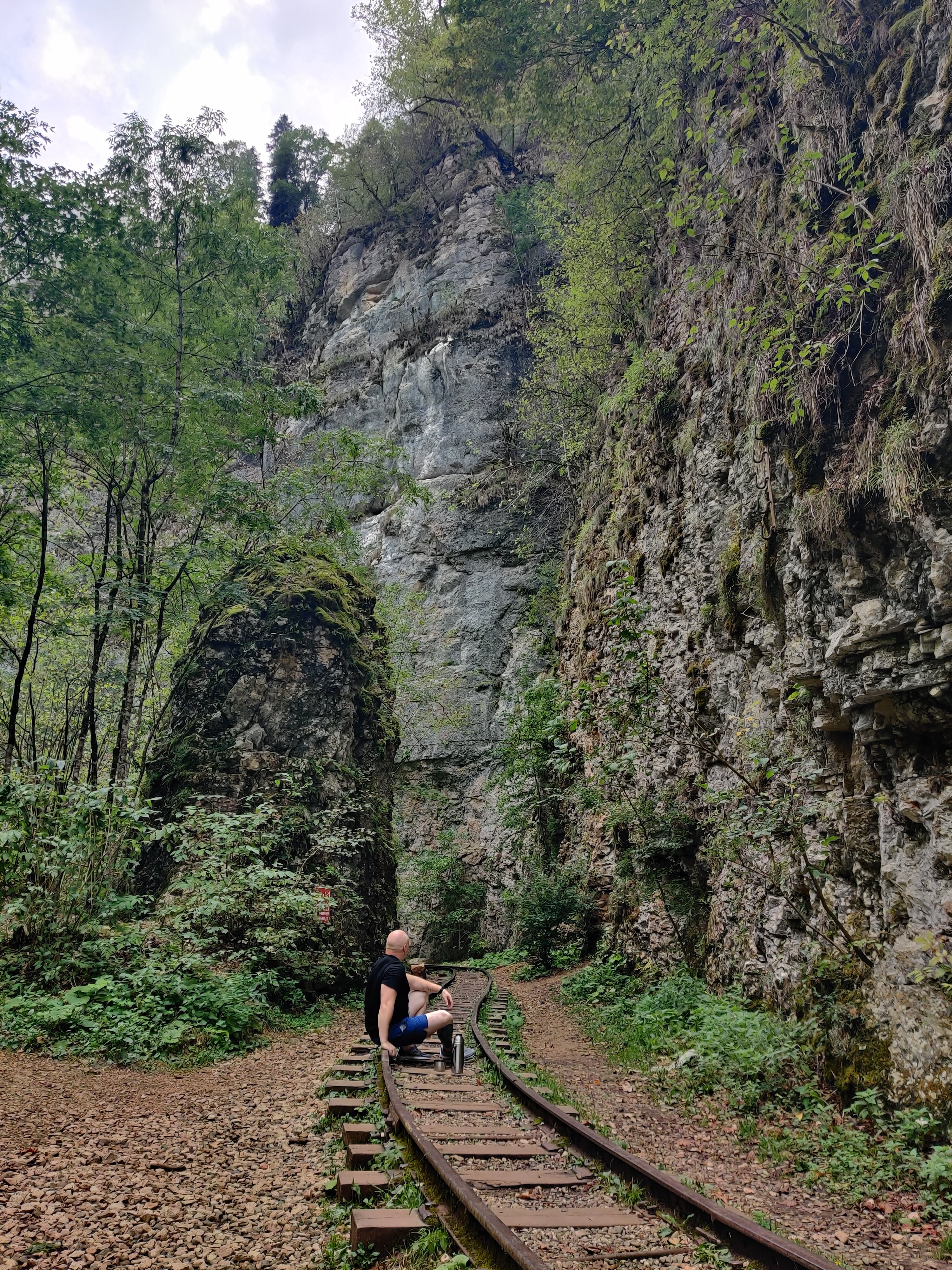 Фото Высокий берег