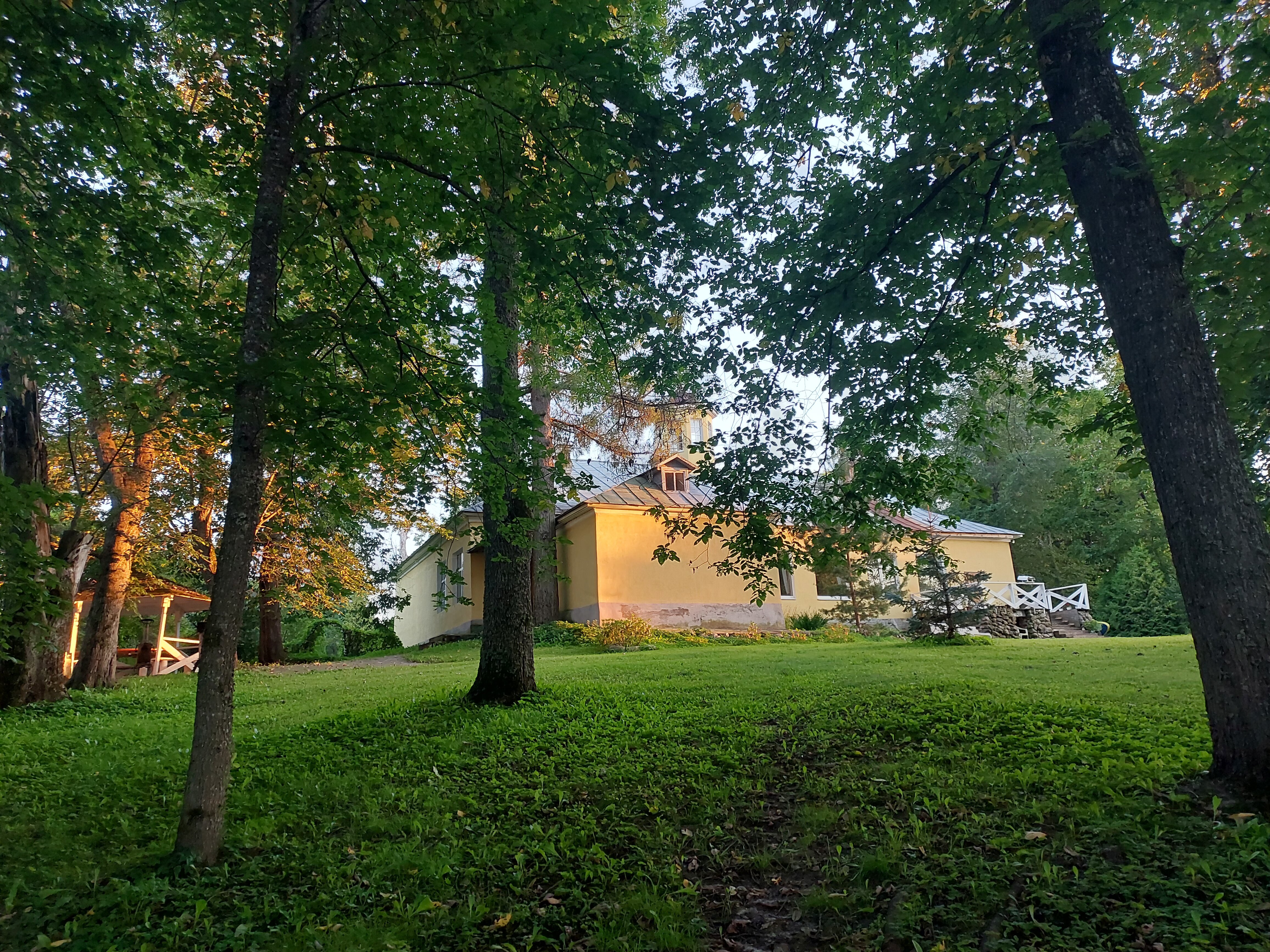 Фото Мишкина дача