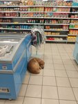 Magnit (posyolok Industrialny, Solnechnaya ulitsa, 45/1) ، محل بقالة
