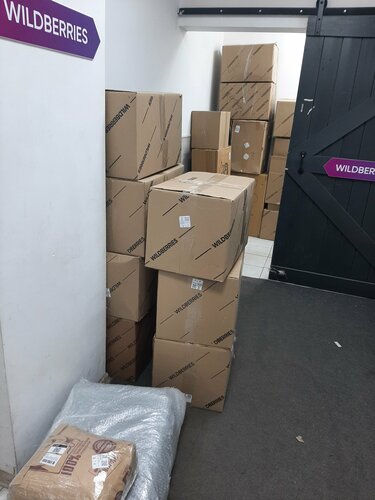 Жалаңаш әйелдердің ақ-қара фотосуреттері