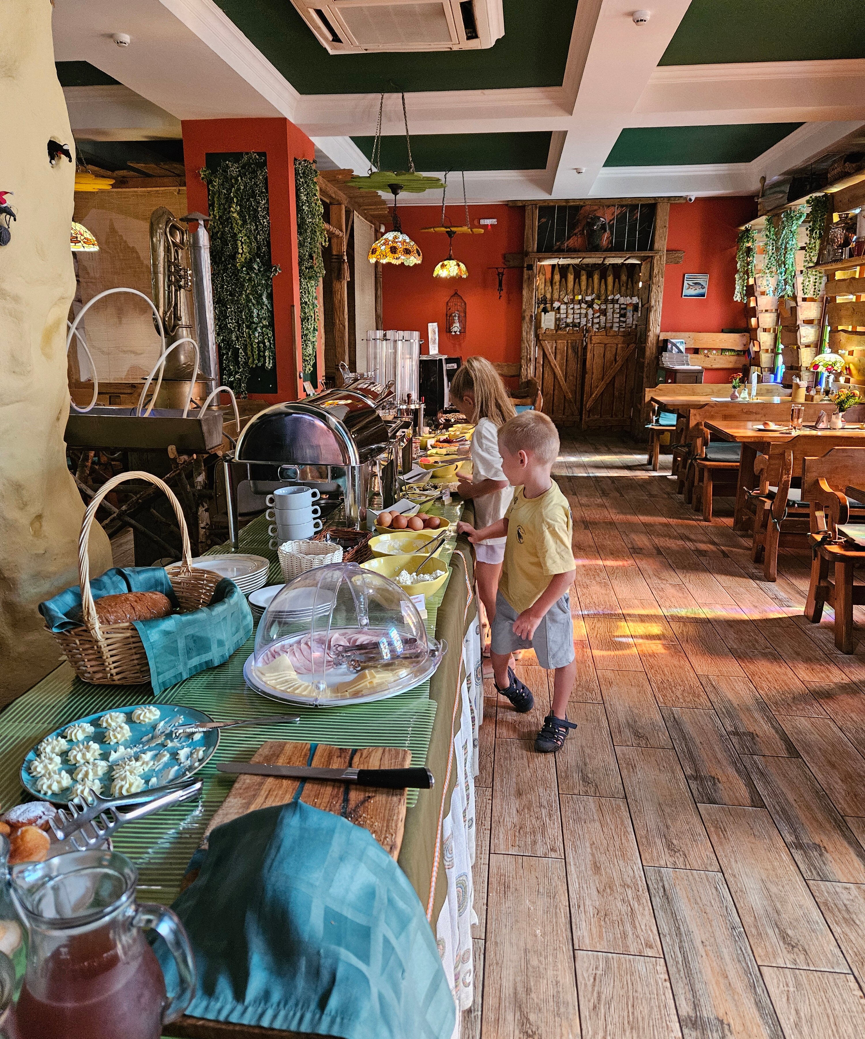 Фото Кошкин Дом