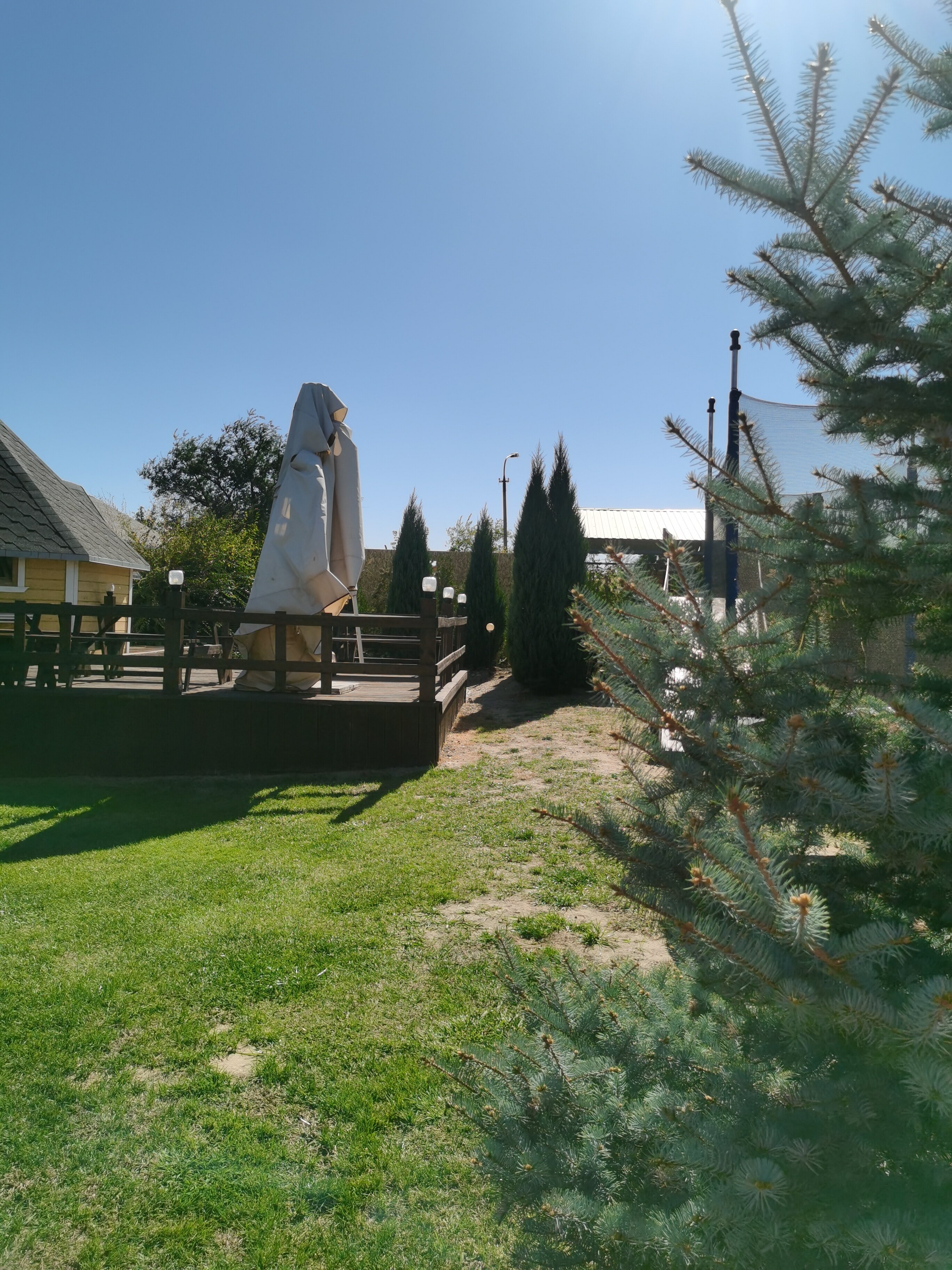 Фото Форест Гриль