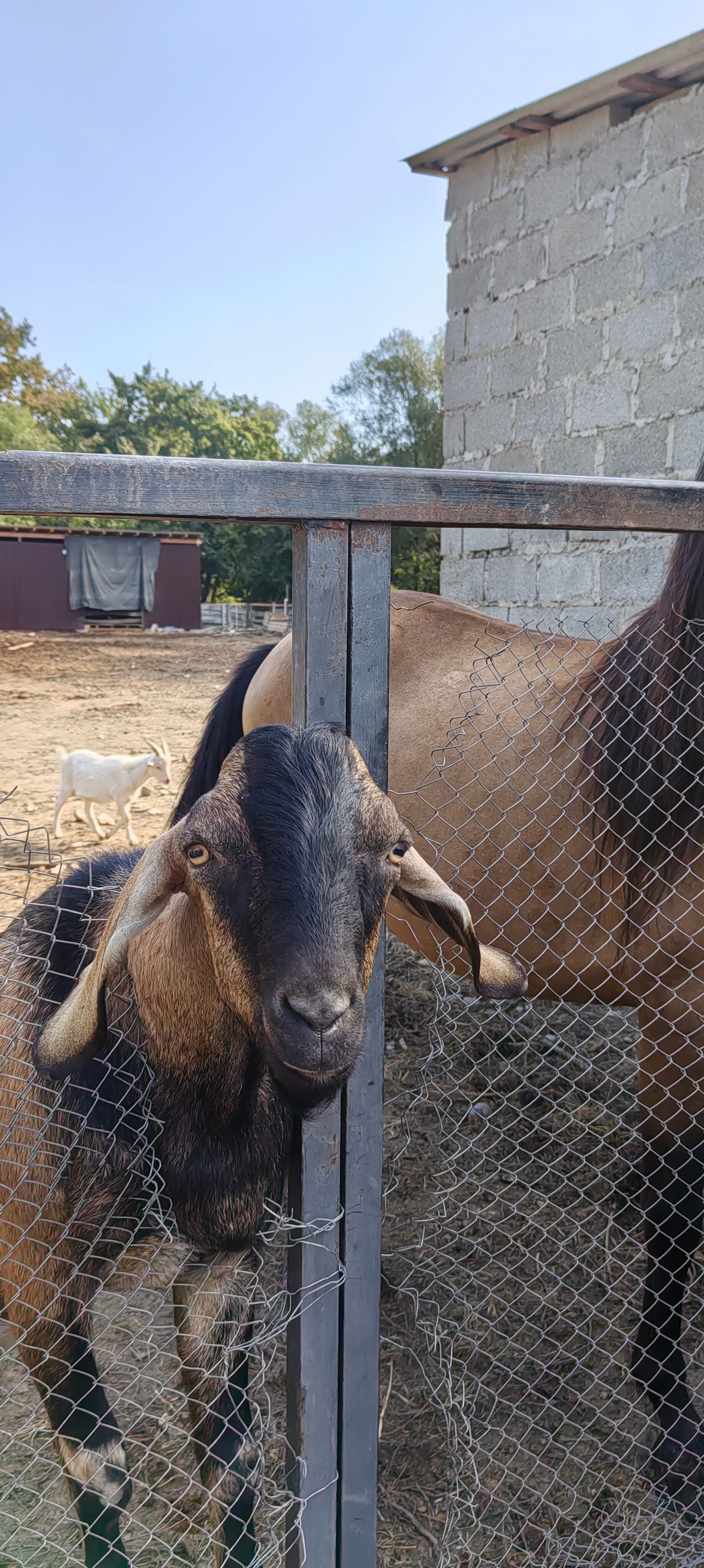 Фото Магия природы