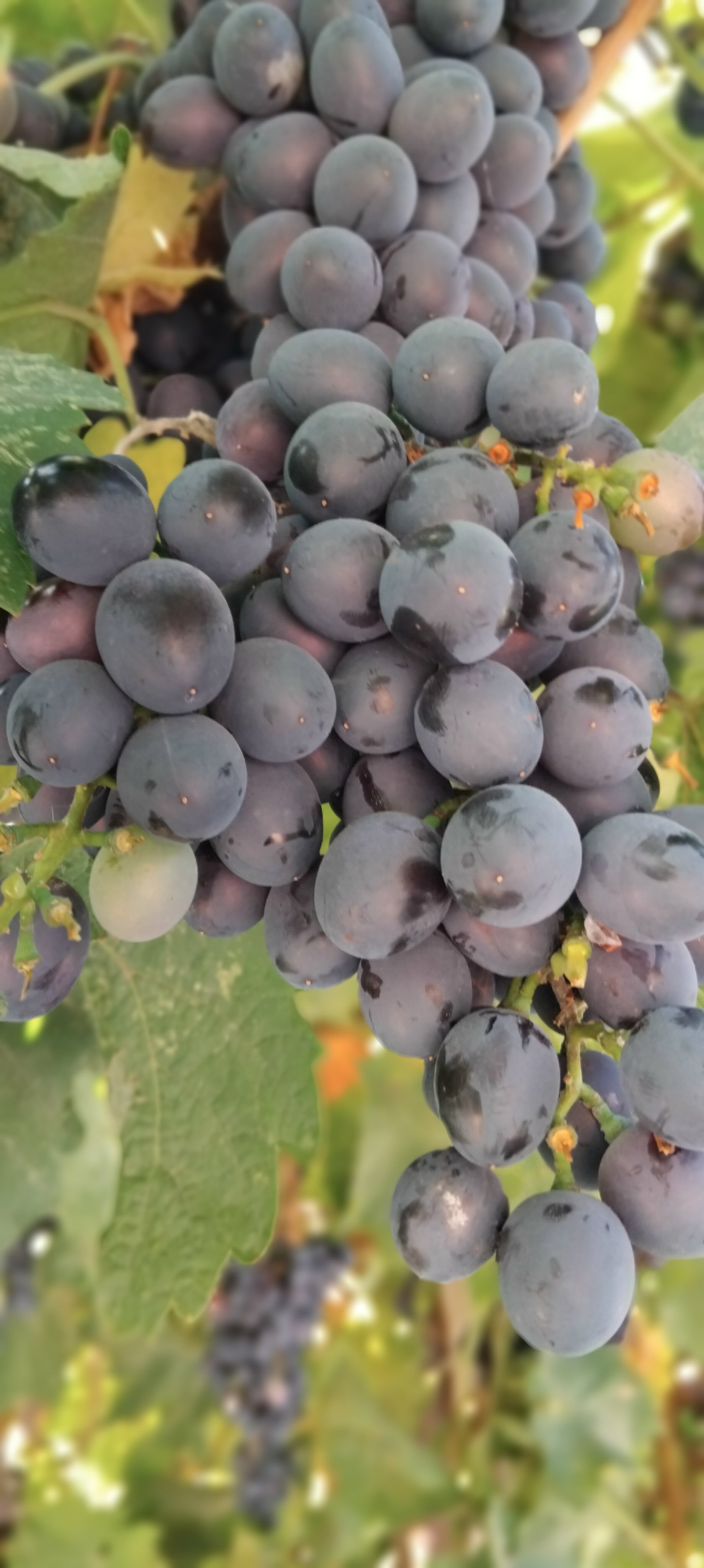 Фото Атмосфера