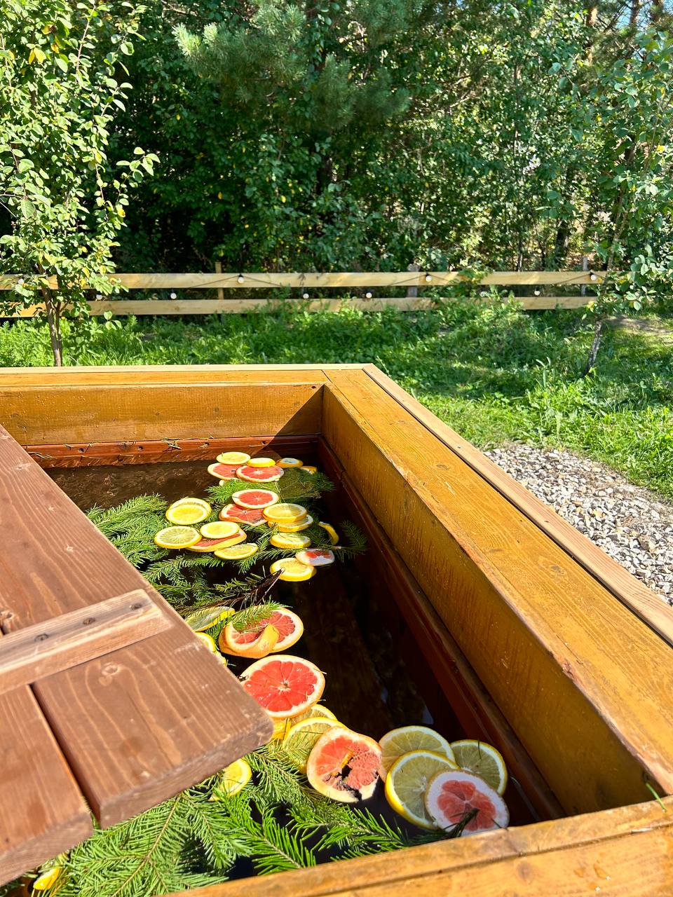 Фото Шанти Афрейм