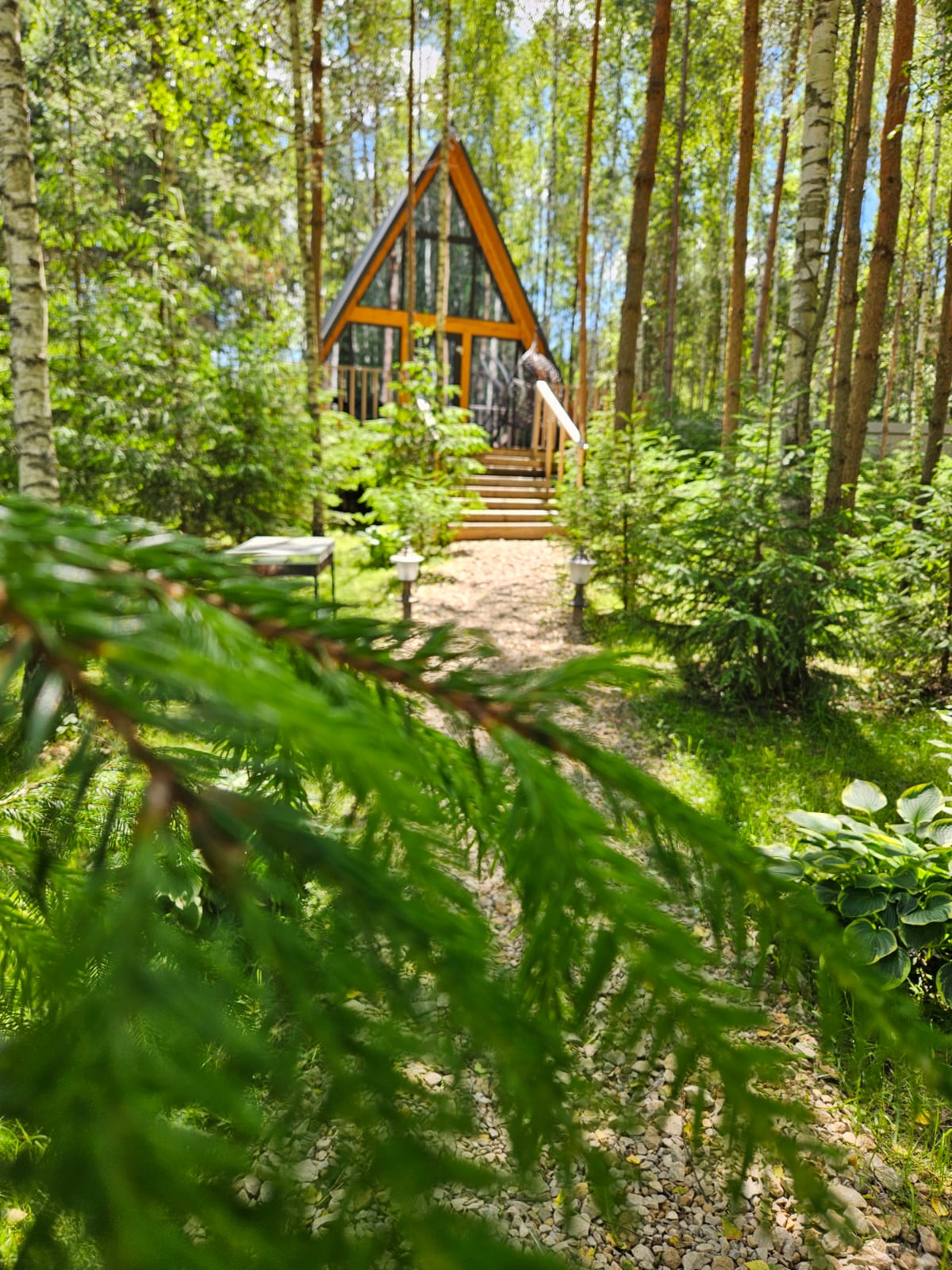 Фото Лесная сказка