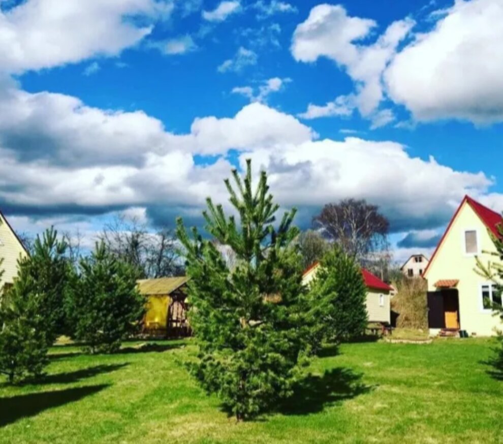 Фото Дункан