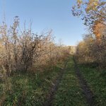 Solnechny Buzovyaz, plodelitsemkhoz (derevnya Almalyk, Sadovaya ulitsa, 5) ، بيع الخضروات والفواكه بالجملة