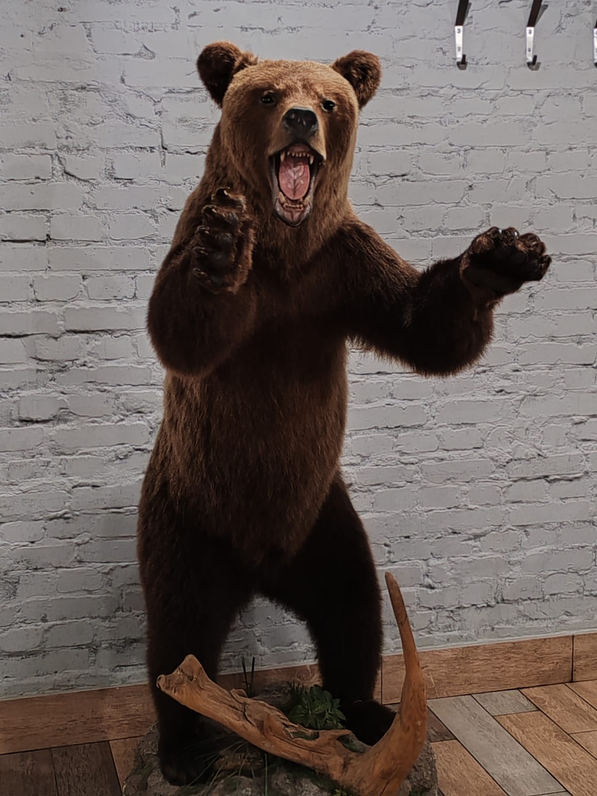 Фото Пробка