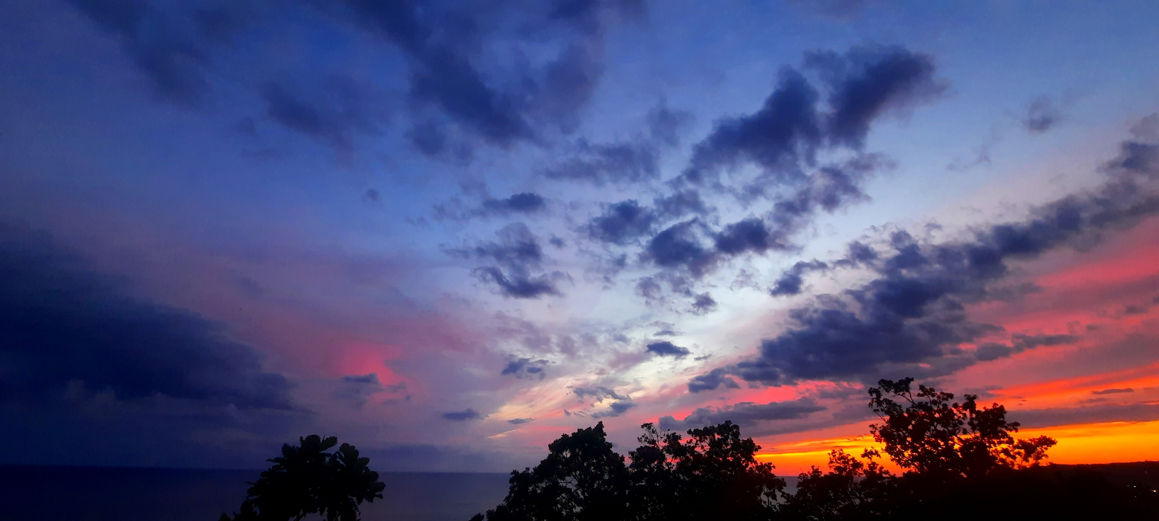 Фото Дубовая Роща