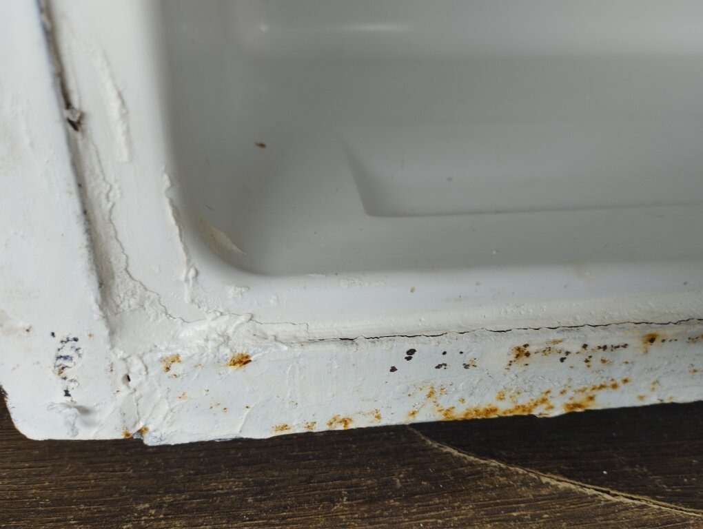 Фото Орхидея