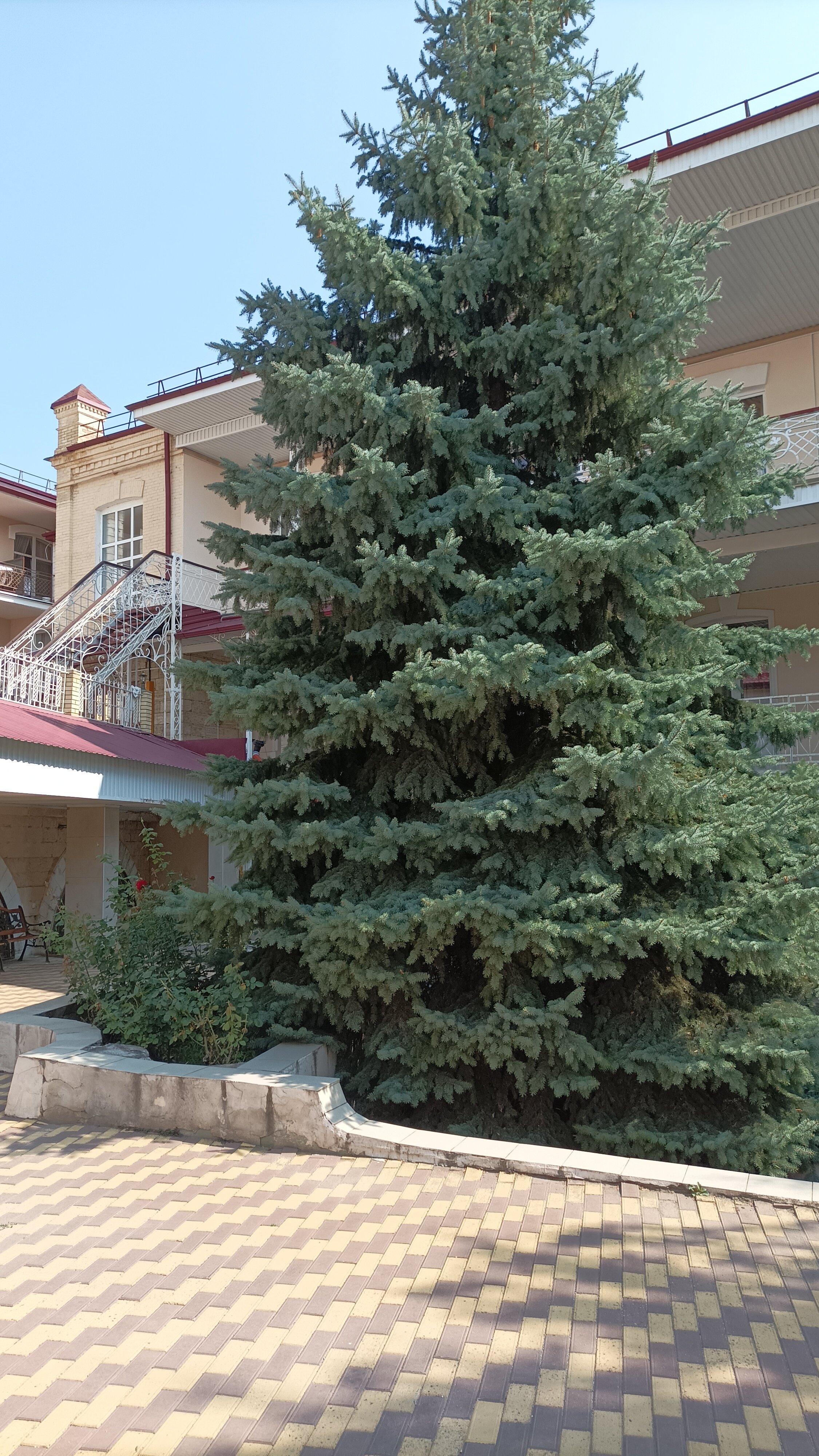 Фото Пятигорская клиника ФГБУ Скфнкц ФМБА России