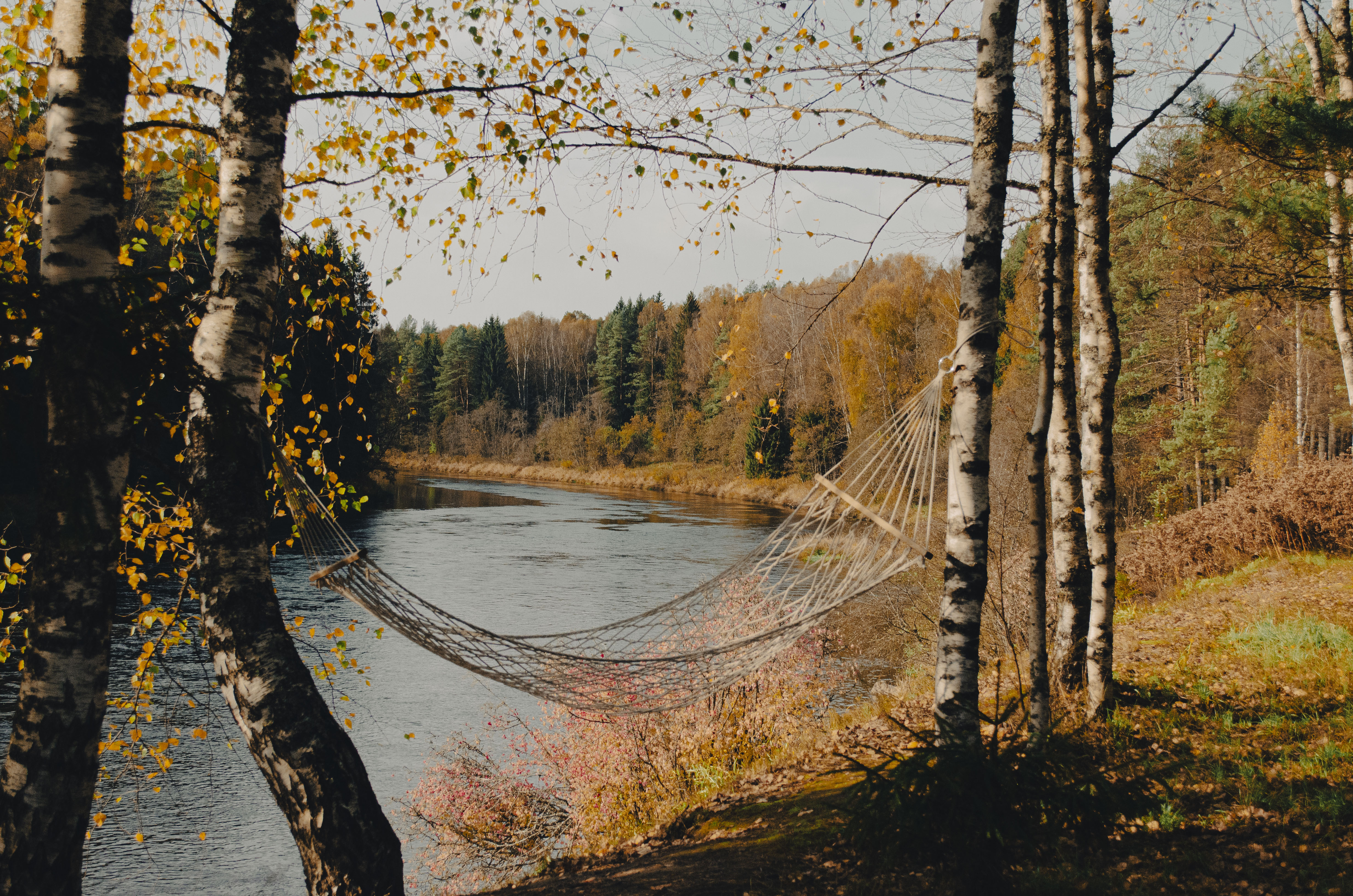 Фото Каменецкие Купели