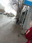 Завод Сибиар (Novosibirsk, Stantsionnaya Street), public transport stop
