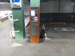 Паркомат (Stroiteley Avenue, 117), parking meter