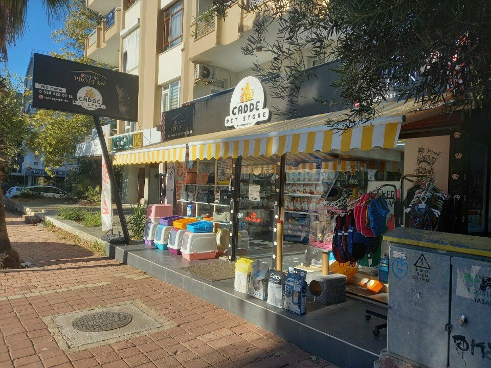 Pet shop Cadde Pet Store, Antalya, photo