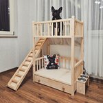 Woodenpetbed (Istanbul, Pendik, Guzelyali Neighborhood, Mentes Street, 17) ، متجر للحيوانات الأليفة