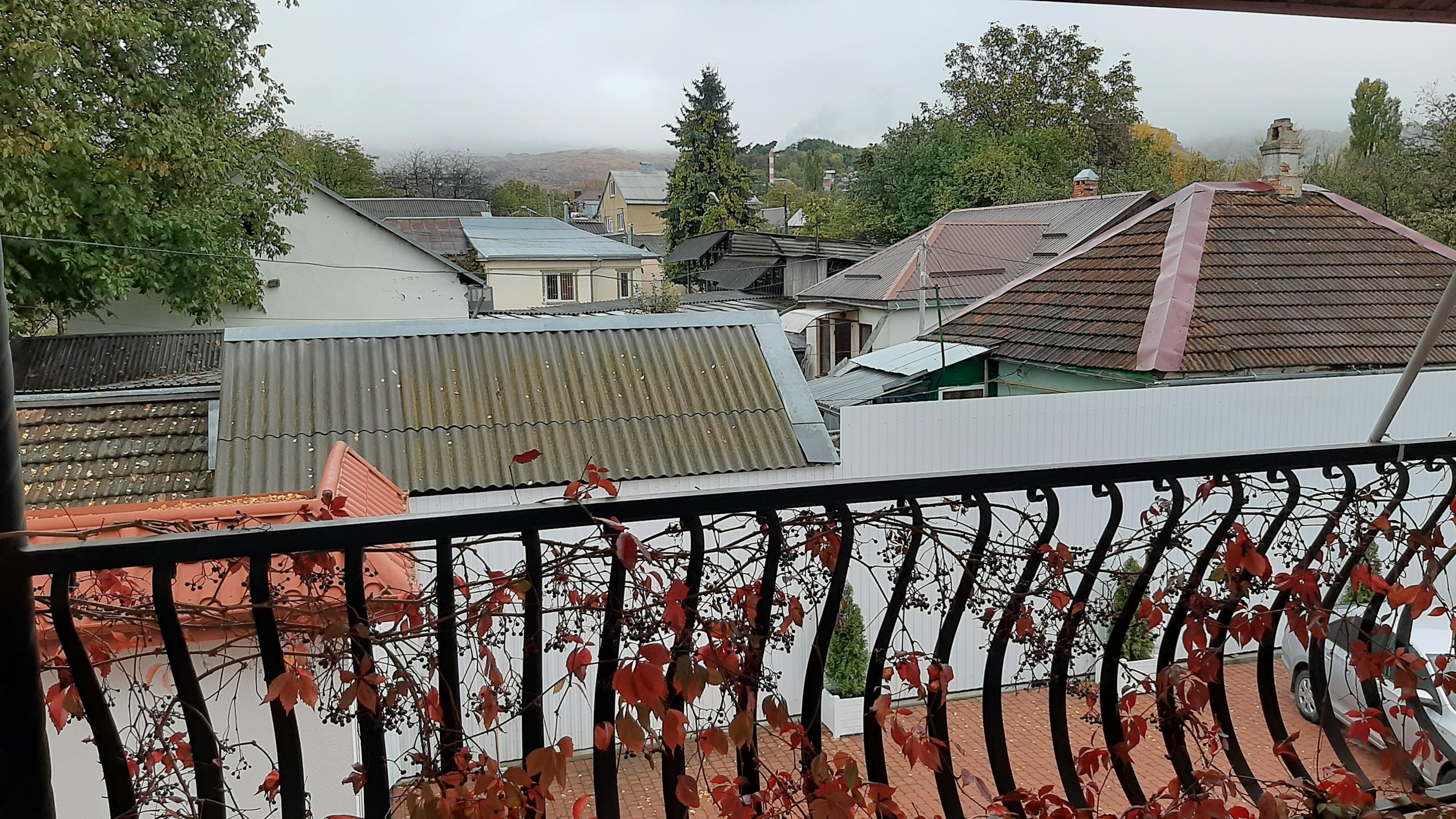 Фото Миндаль