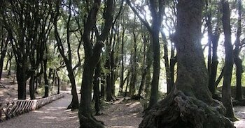 Фото Hotel Paradiso