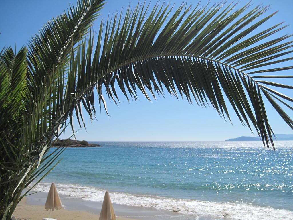 Фото Faedra Beach Hotel