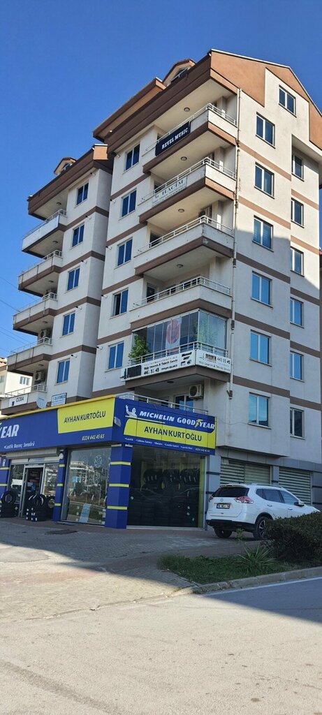 Web design studio ProDataNet, Bursa, photo