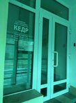 Кедр (Vershinina Street, 6) ، مبيعات الأخشاب